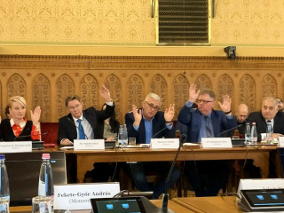 A Bizottság feltartott kézzel szavaz