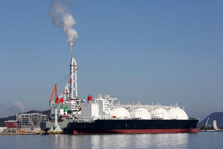 Horvát kikötőből érkezik majd a cseppfolyós gáz (Fotó: depositphotos.com)