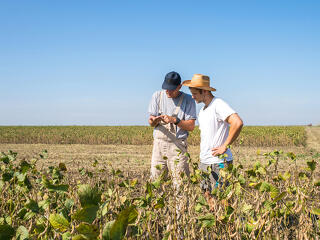 MBH AgrárTrend Index  – Fogyóban az optimizmus