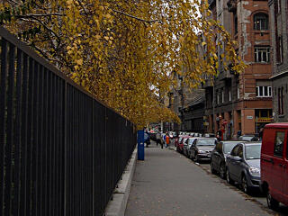 Folytatódik a bulinegyed-konfliktus a zsidó szervezetek és a VII. kerület között