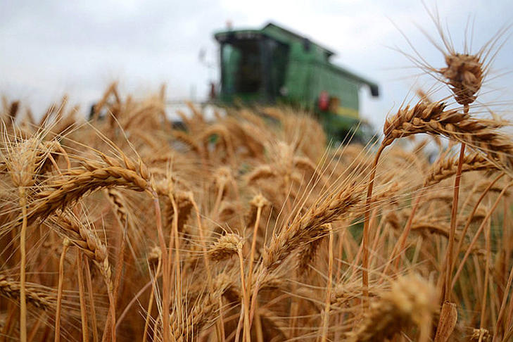 Ősszel igényelhetik a gazdák a kompenzációt. Fotó: MTI/Mészáros János