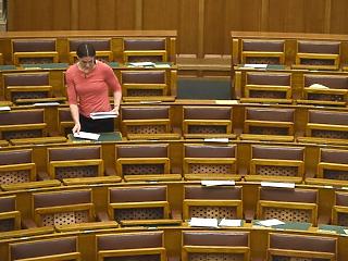 Nem mernek vállalkozni a női parlamenti képviselők 