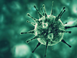 Hatvanhat áldozatot követelt a koronavírus