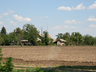 Tanya
