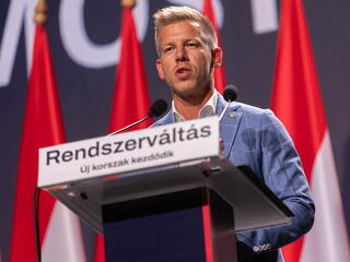 Magyar Péter helyett az öccse lett a kormányfő cégének új vezérigazgatója