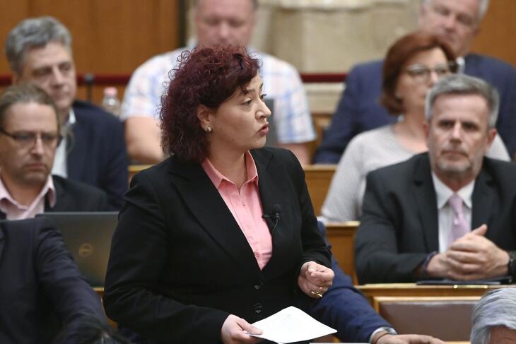 Vadai Ágnes, a DK frakcióvezető-helyettese napirend előtt is gyakran szólal fel az Országgyűlésben