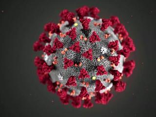 Koronavírus: az új betegek száma nőtt, az áldozatoké tovább csökkent