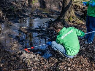 Súlyos mérgeket mutatott ki a Greenpeace Mészáros Lőrinc egyik cégének telephelye mellett
