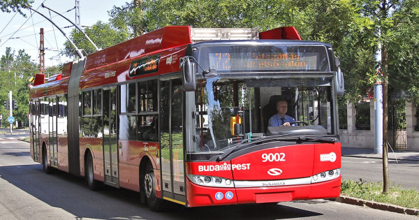 A trolibuszok a kötelező biztosítások rémei