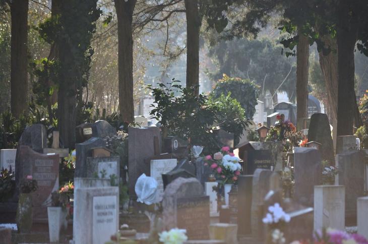 Lehet olcsóbb a temetkezés?