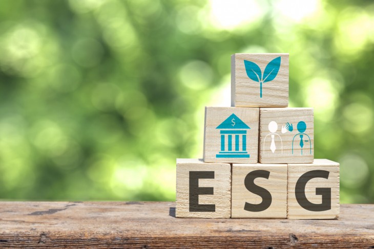 Az ESG még nem kiforrott rendszer, a hazai észletek  valószínűleg még az első félévben napvilágra kerülnek