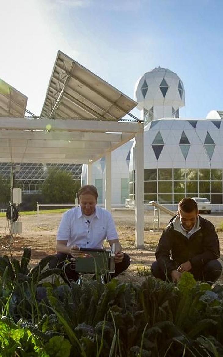  Greg Barron-Gafford és egy tanítványa vizsgálják a napelemek alá ültetett növényeket az arizónai kísérleti telepen