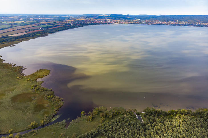 Algafoltok a Balatonon a Zala folyó torkolatánál, Keszthely külterületi településrésze, Fenékpuszta közelében 2019. szeptember 11-én. (Fotó: MTI/Varga György)