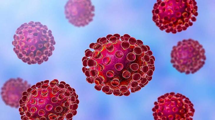 A WHO aggasztónak minősítette a nagyszámú mutációval rendelkező omikron vírusvariánst. Fotó: pixabay