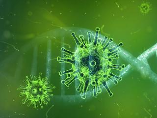 Koronavírus: február óta nem látott jó hírt közöltek