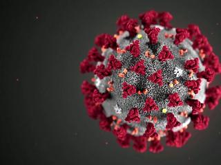 A koronavírusnak 23 új betege van, négyen elhunytak