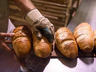 Súlyos a helyzet: túl olcsó a kenyér – ellátási gondok lehetnek