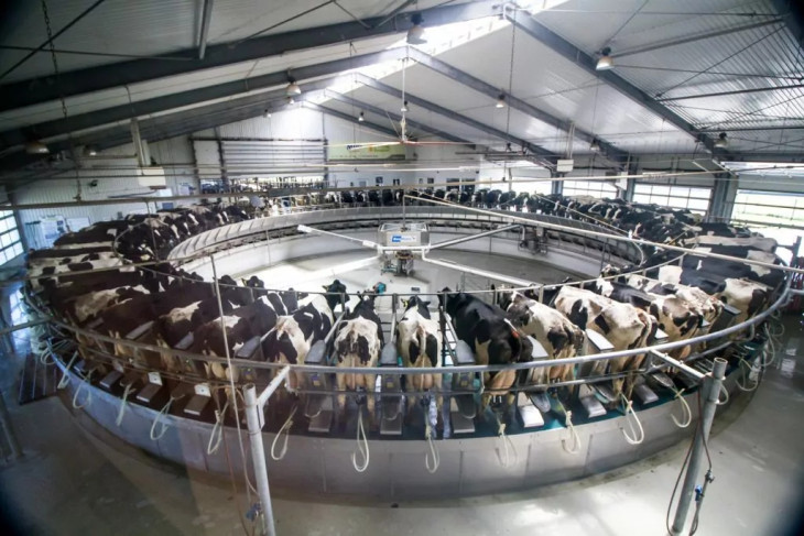 A Bonafarm korszerű tehenészetet üzemeltete Csípőteleken