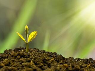 Tartós a fordulat magyar gazdaságban?