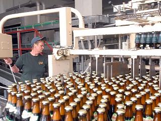 2 millió hektoliterrel kevesebb sört adtak el idén a német főzdék