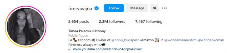 Az üzletasszony az Instagramon is büszkén a Nobu tulajdonosaként mutatja be magát