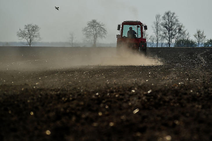 Idén is folytatódik  termőföld drágulása, főleg a Dél-Alföldön és Tolnában (fotó: MTI)