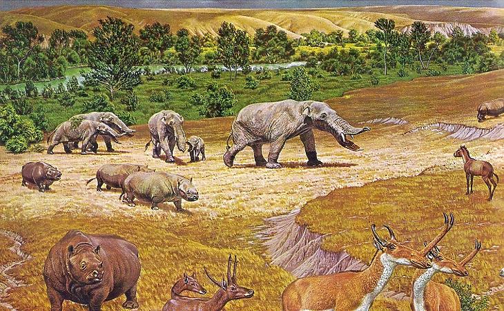 Így nézhettek ki Észak-Amerika emlősei a pliocén korszakban. (Forrás: Wikipedia)
