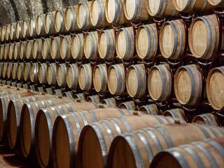 Jó hír: idén a tavalyinál 10 százalékkal több újbor készült