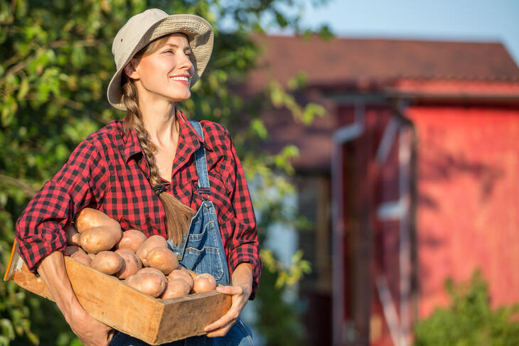 Biztató kilátások