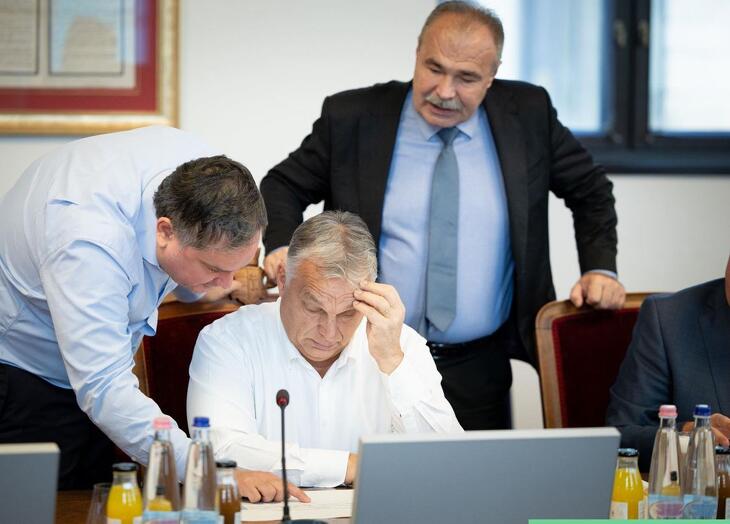 „Látod, Viktor? Az a magas oszlop az árakat mutatja!”