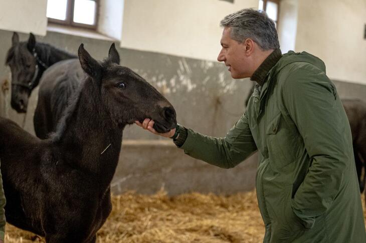 Lázár János itt éppen egy kiscsikót szemlélt meg a mezőhegyesi ménesbirtokon