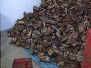 Négy tonna húst semmisített meg a Nébih (videó)