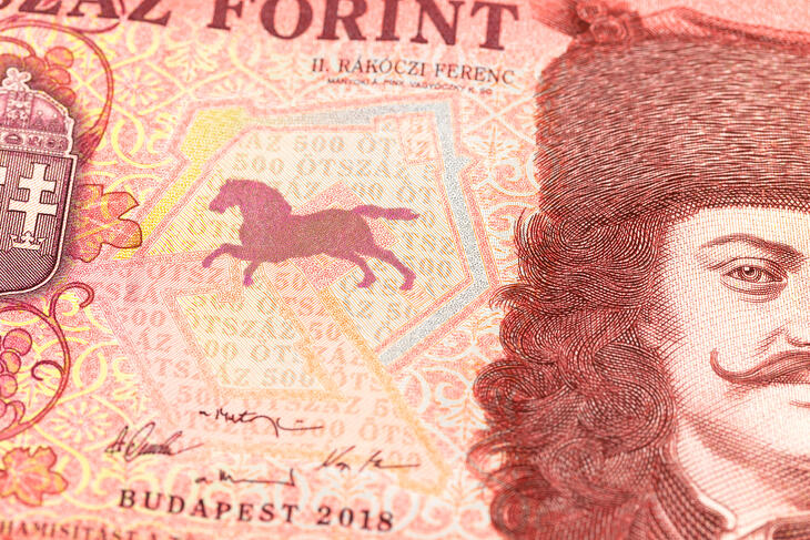 Idén elvágtatott a forintárfolyam