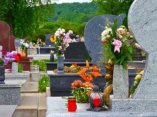 Ha temetőbe készül, ilyen virágárakra számítson!