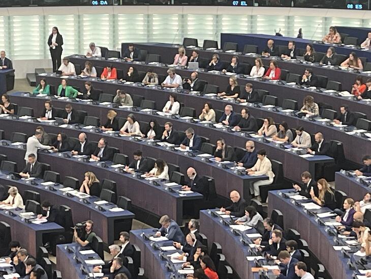 Az Európai Parlament fontos állásfoglalások színhelye