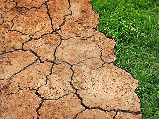 Tegyük jobbá a világot - a világ vezetőihez szólt az ENSZ főtitkára