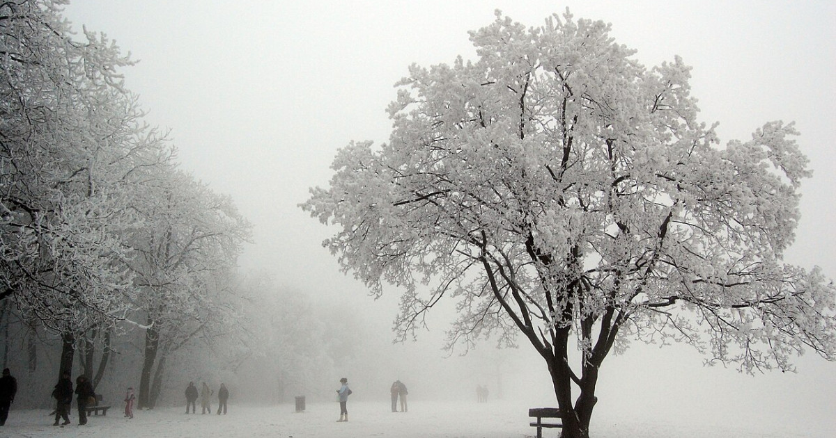 A Normafa régóta kedvelt kirándulóhely