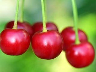 Meggy, cseresznye, gyümölcs. Fotó: pixabay