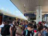 Akkora a baj, hogy még a MÁV vezére is felháborodott