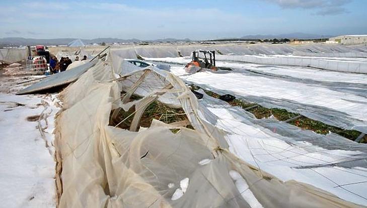 Elpusztult fóliaalgút Spanyolországban (Forrás: freshplaza.com)