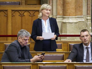 Ma nagyon megdolgoznak a pénzükért a parlamenti képviselők