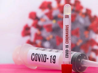 Koronavírus: tavaly volt utoljára ilyen alacsony a napi áldozatok száma