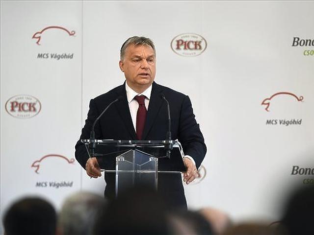 Orbán Viktor disznóságok között mosolyogva avatott gyárat