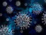 Vége a találgatásoknak: már a szennyvízben is nő a koronavírus koncentrációja