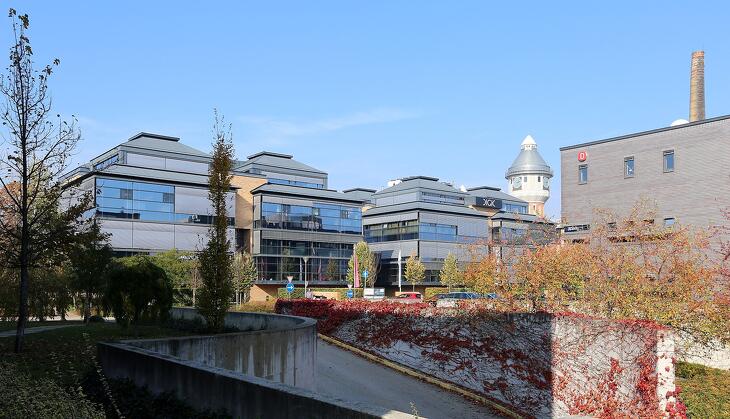 Nem volt rossz évük