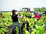 Nagy változást hoz a július: ez több százezer embert érint