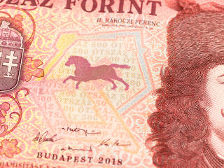 Nem fázott meg a forint a májusi esőben  