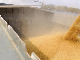 A kormány megmentheti Kósa Lajos rokonának agrárcégét