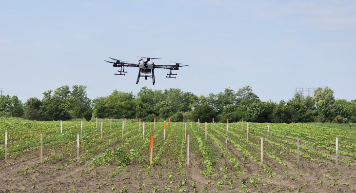 A növényvédős drónbalesetek legtöbbje emberi hibákra vezethető vissza. Fotó: MyActionCam Kft. 