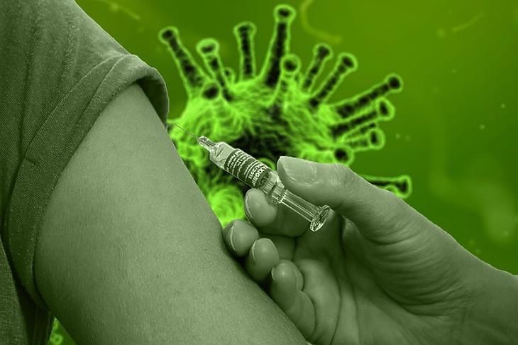  Egyre sürgetőbb a vakcina kifejlesztése (Fotó: Pixabay)